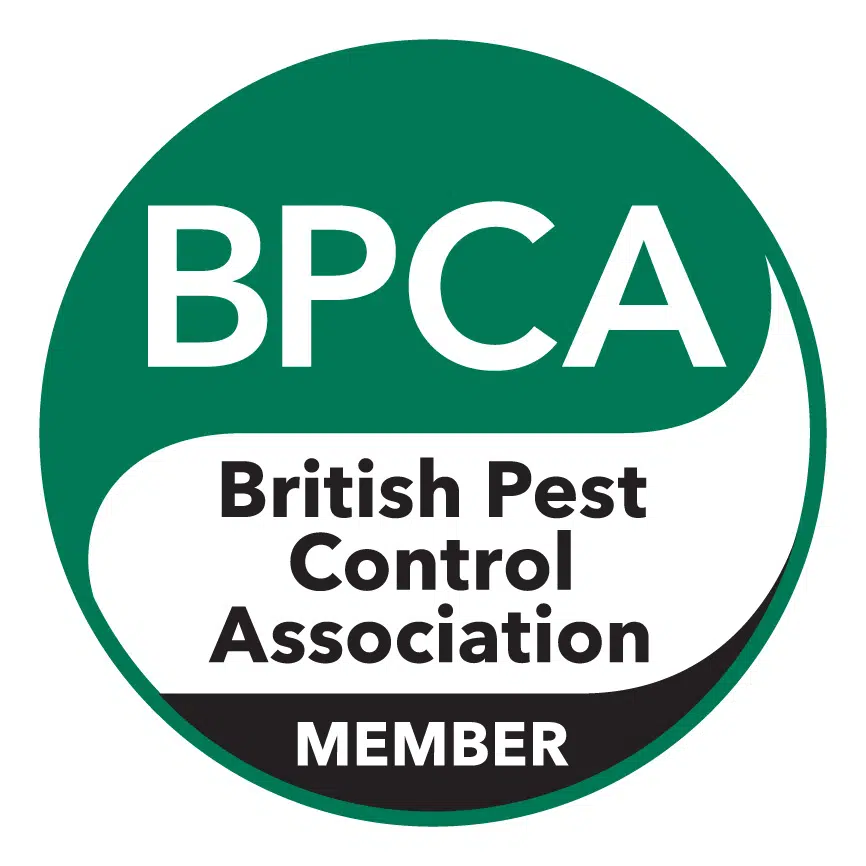 Buckhurst Hill Pest Control
