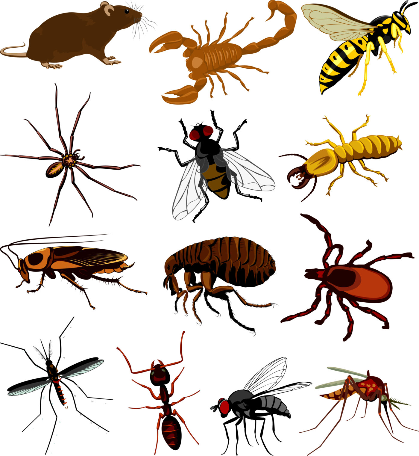 dangerous pests found in homes