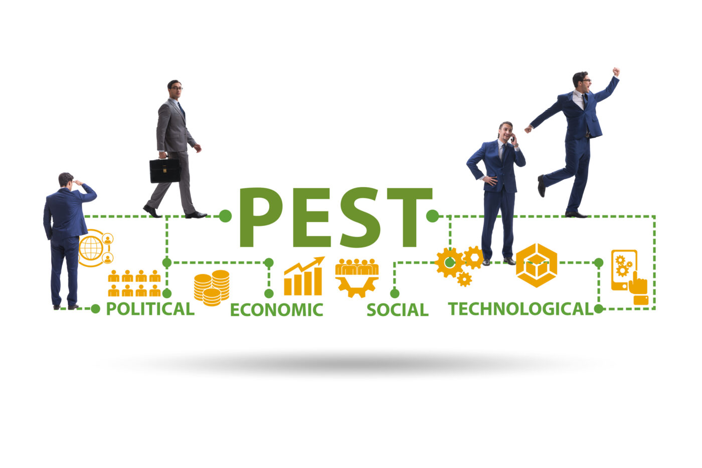 integrated pest management IPM